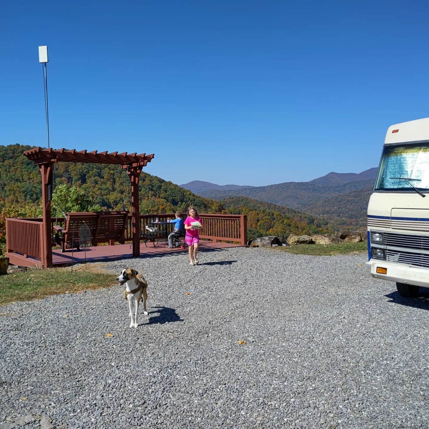 adam B.'s photo of camping with pets at Mama Gertie's Hideaway Campground near Asheville, NC