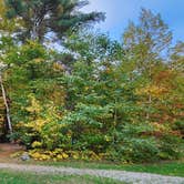 Review photo of Branch Brook Campground by Matt R., October 17, 2022