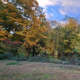 Review photo of Branch Brook Campground by Matt R., October 17, 2022