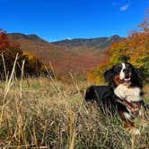 Review photo of Branch Brook Campground by Matt R., October 17, 2022