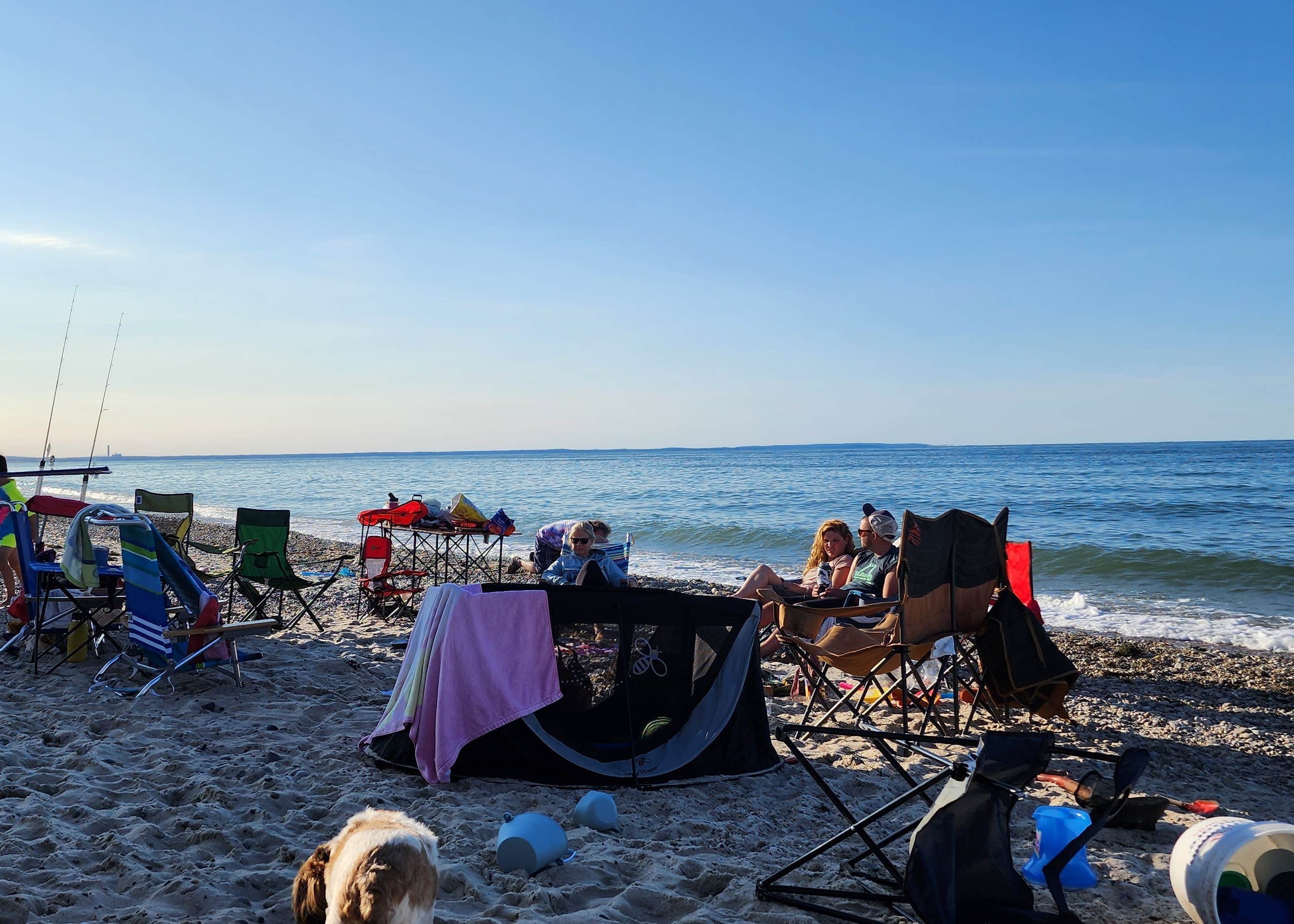 Sandy Neck Beach Park Primitive Campsites Camping The Dyrt
