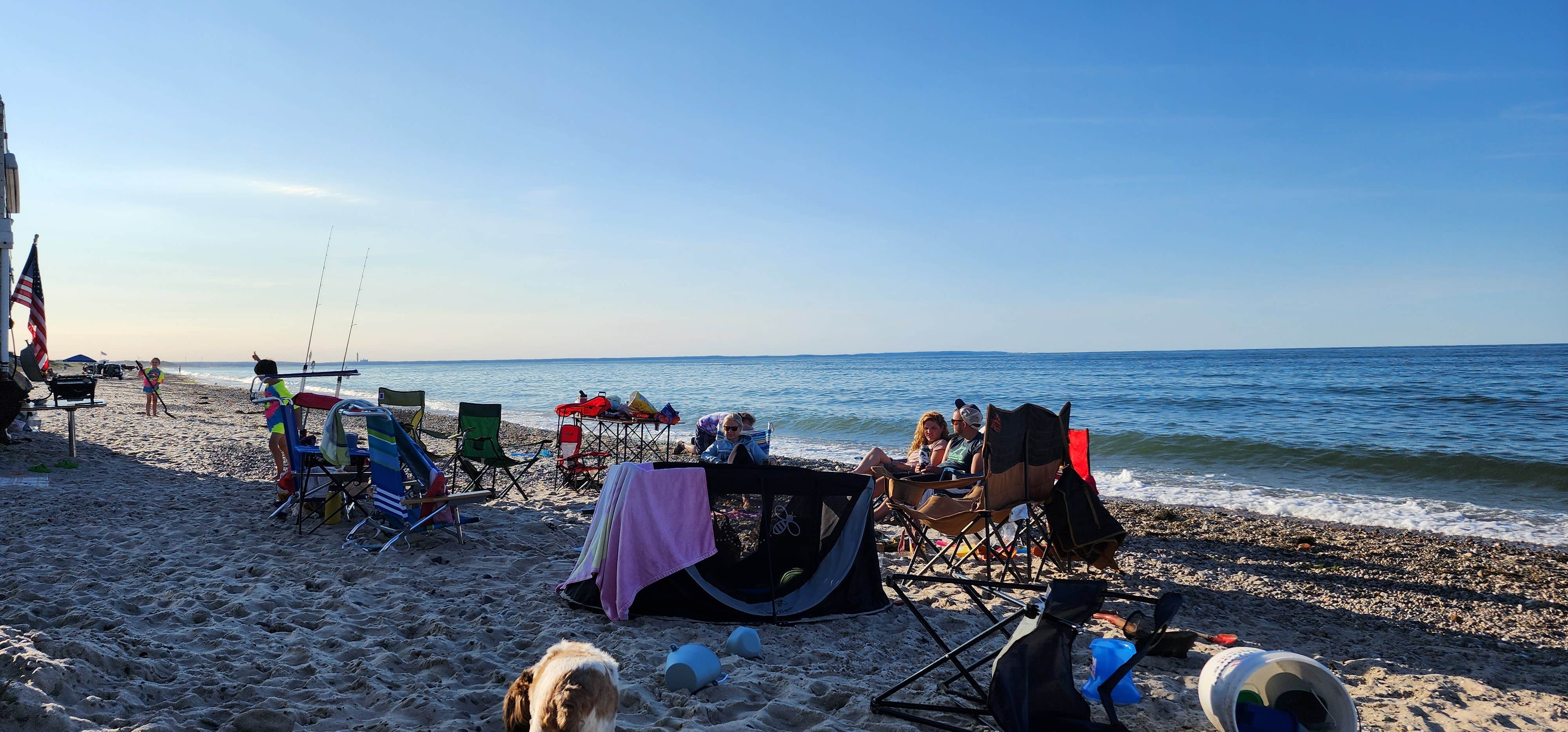 Camper submitted image from Sandy Neck Beach Park Primitive Campsites - 1