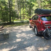Review photo of Blackwoods Campground — Acadia National Park by Matt R., October 17, 2022