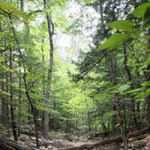 Review photo of Dry River — Crawford Notch State Park by Matt R., October 17, 2022