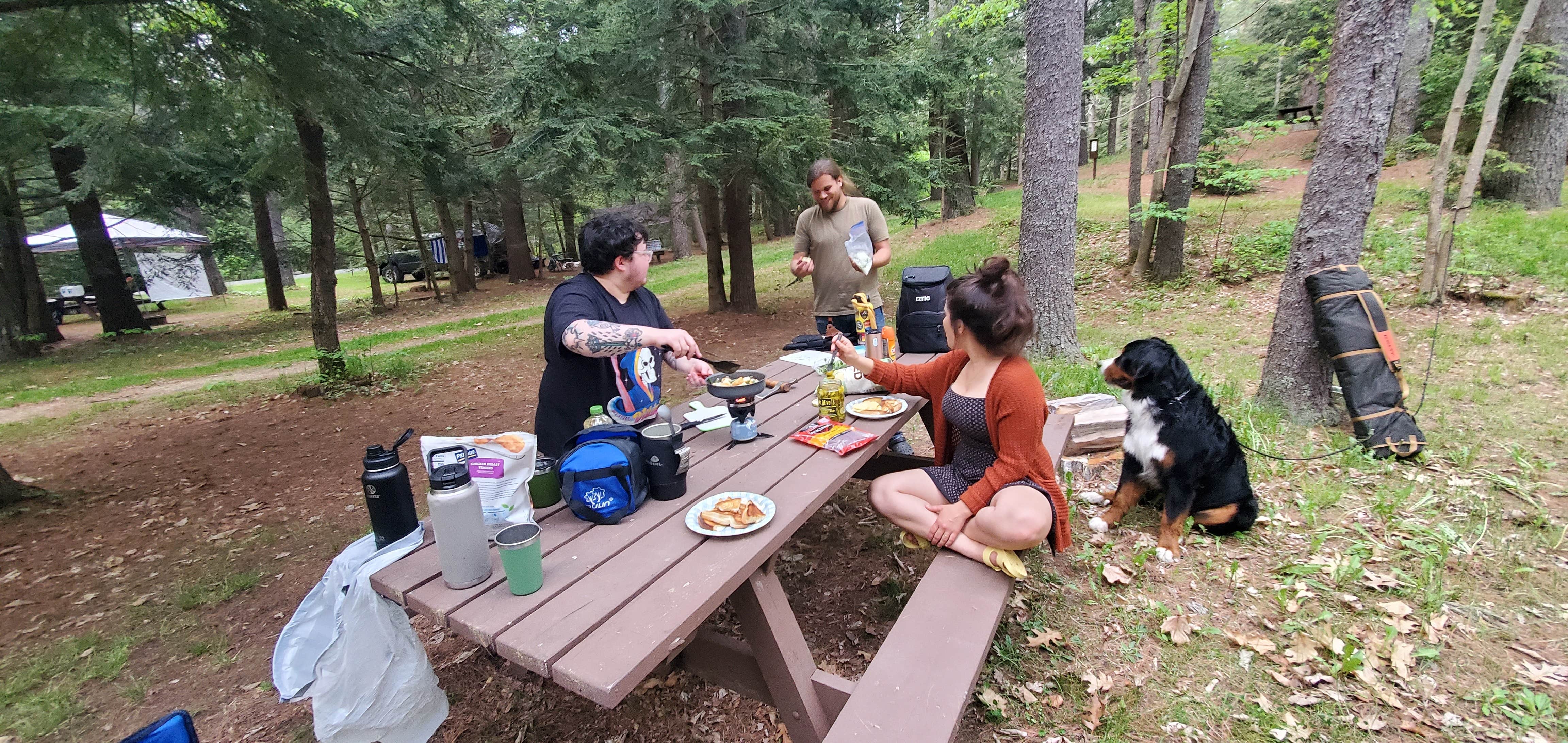 Matt R.'s photo at Otter River State Forest near Ayer, MA
