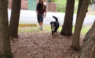 Matt R.'s photo of camping with pets at Otter River State Forest near Greenville, NH