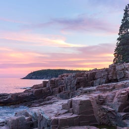 Public Campgrounds: Blackwoods Campground — Acadia National Park