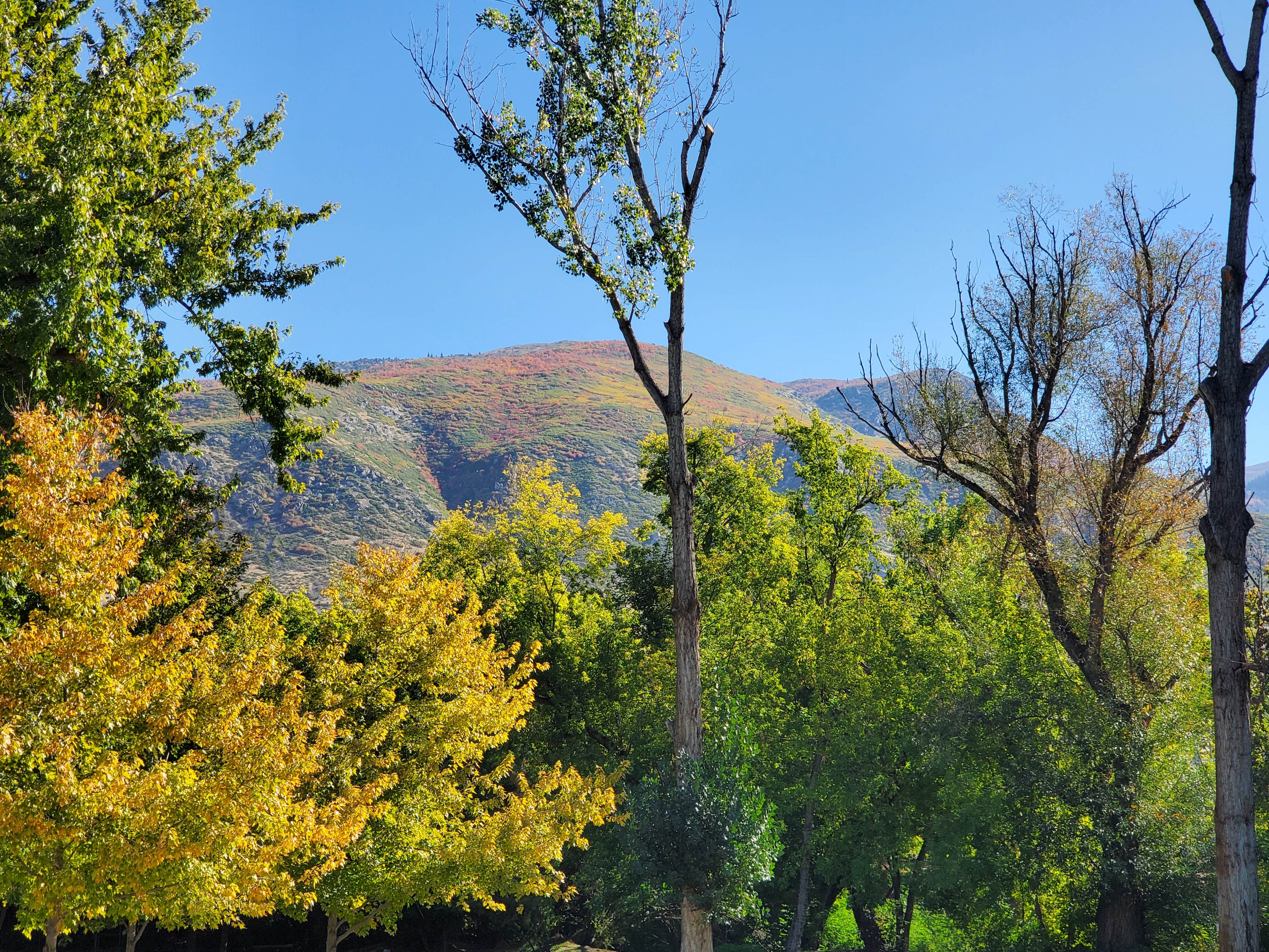 Camper-submitted photo at Lagoon RV Park & Campground near Midvale, UT