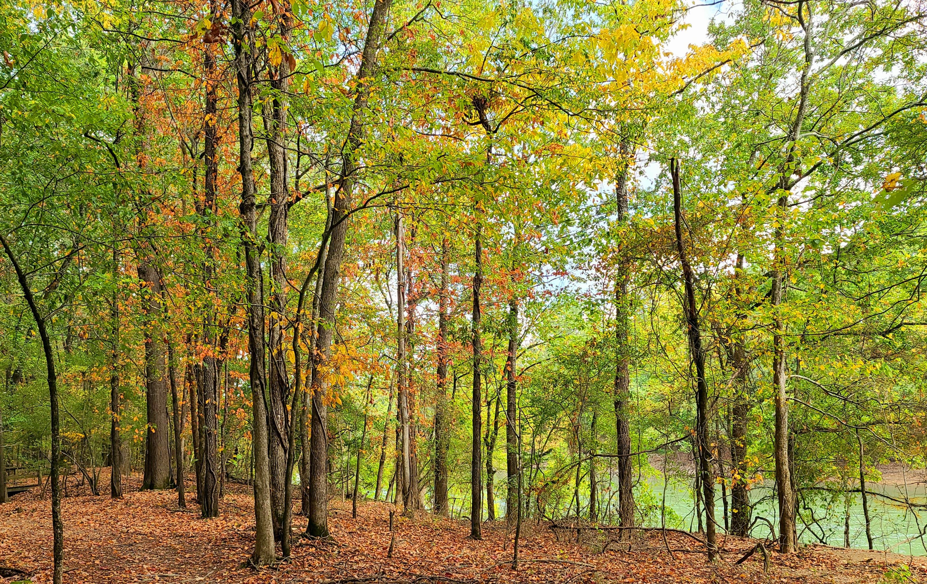 Camper-submitted photo at Davidsonville Historic State Park Campground near Hoxie, AR