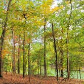 Review photo of Davidsonville Historic State Park Campground by Kim C., October 17, 2022