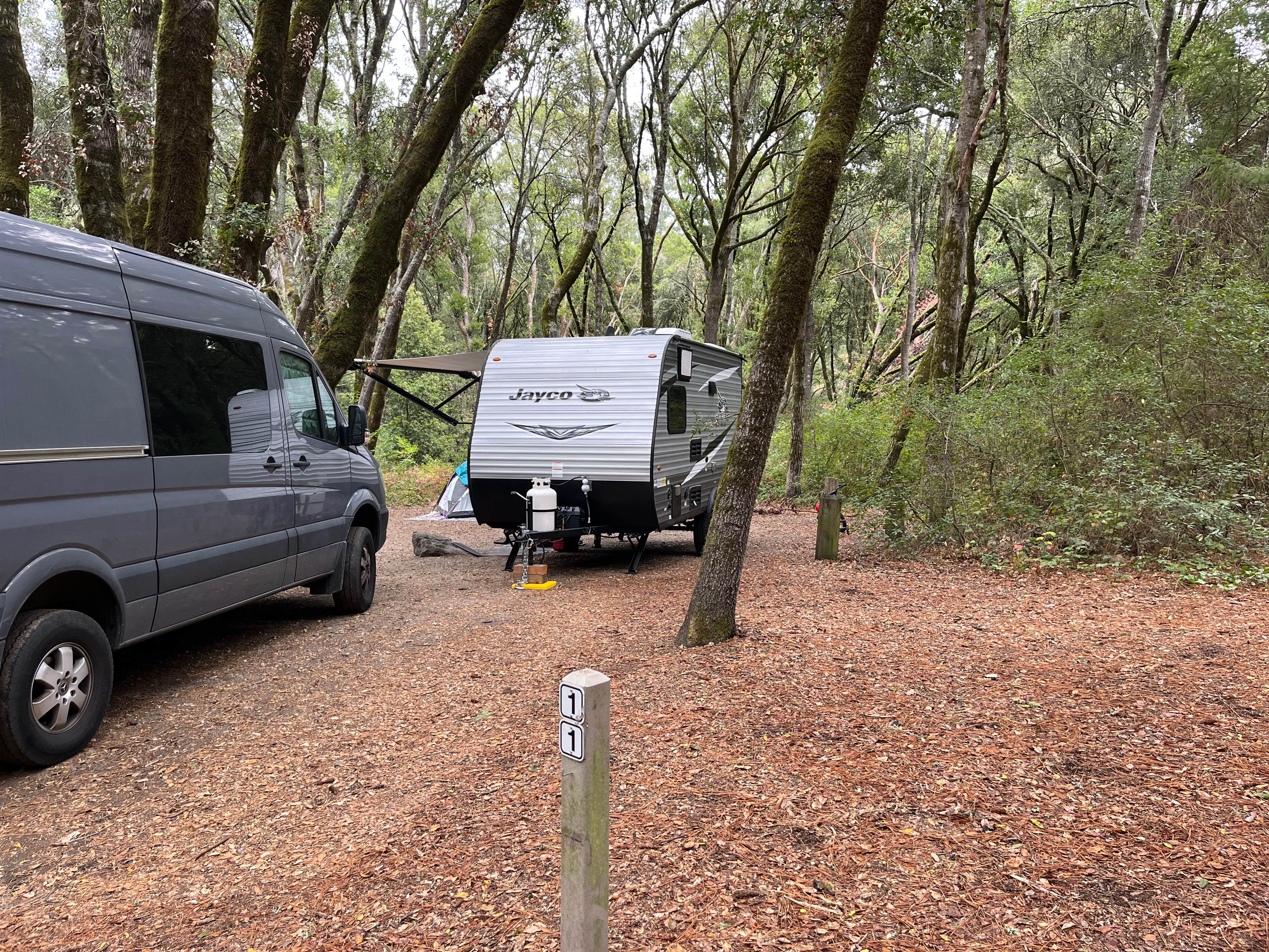 Alma L.'s photo of rv camping at Henry Cowell Redwoods State Park Campground near Ben Lomond, CA
