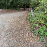 Review photo of Henry Cowell Redwoods State Park Campground by Alma L., October 17, 2022