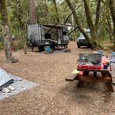 Review photo of Henry Cowell Redwoods State Park Campground by Alma L., October 17, 2022