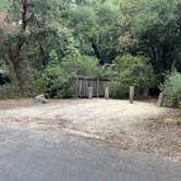 Review photo of Henry Cowell Redwoods State Park Campground by Alma L., October 17, 2022