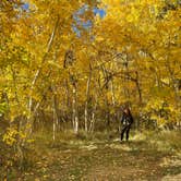 Review photo of Lundy Canyon Campground by Jose M., October 17, 2022