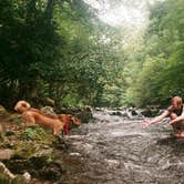 Review photo of Deep Creek Campground — Great Smoky Mountains National Park by Amy B., September 7, 2018