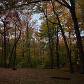 Review photo of Hickory Run State Park Campground by Jen , October 17, 2022