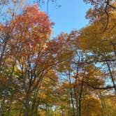 Review photo of Hickory Run State Park Campground by Jen , October 17, 2022