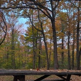 Review photo of Hickory Run State Park Campground by Jen , October 17, 2022