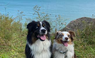 Whistle P.'s photo of camping with pets at Cliffside Park Campground near Waukesha, WI