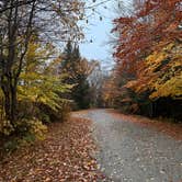 Review photo of Mollidgewock State Park Campground by Katy Z., October 17, 2022