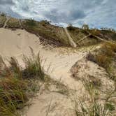 Review photo of Warren Dunes State Park Campground by Lauren M., October 17, 2022