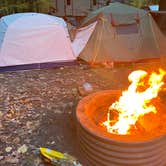 Review photo of Warren Dunes State Park Campground by Lauren M., October 17, 2022