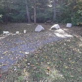 Review photo of Paddy Creek Recreation Area by Cheryl M., October 17, 2022