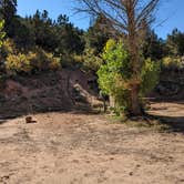 Review photo of Zion RV and Campground (Hi-Road) by Greg L., October 17, 2022