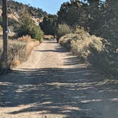 Review photo of Zion RV and Campground (Hi-Road) by Greg L., October 17, 2022