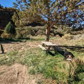 Review photo of Zion RV and Campground (Hi-Road) by Greg L., October 17, 2022
