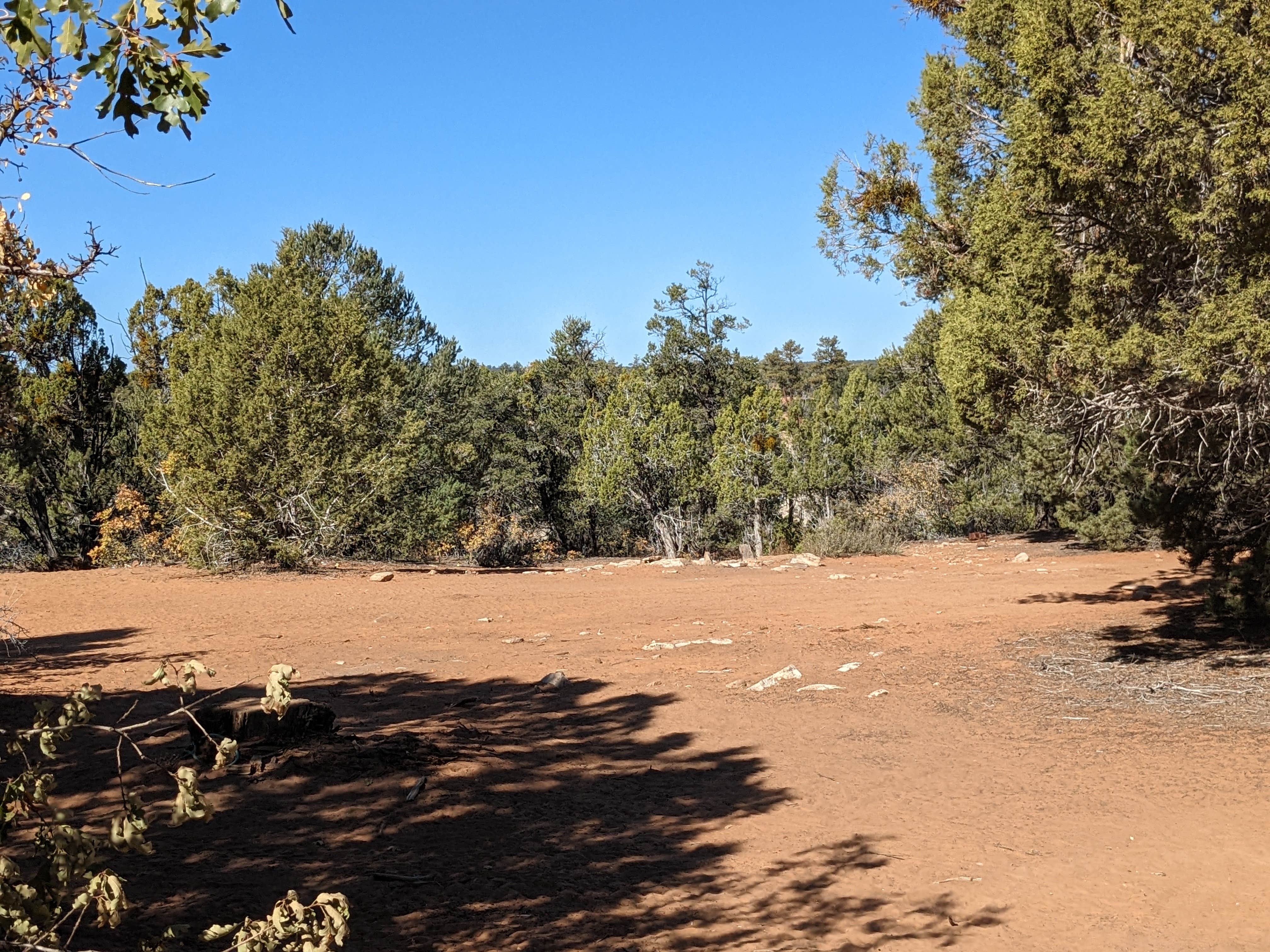 Camper submitted image from Poverty Flat BLM Road #70 Dispersed Camping Area - 3