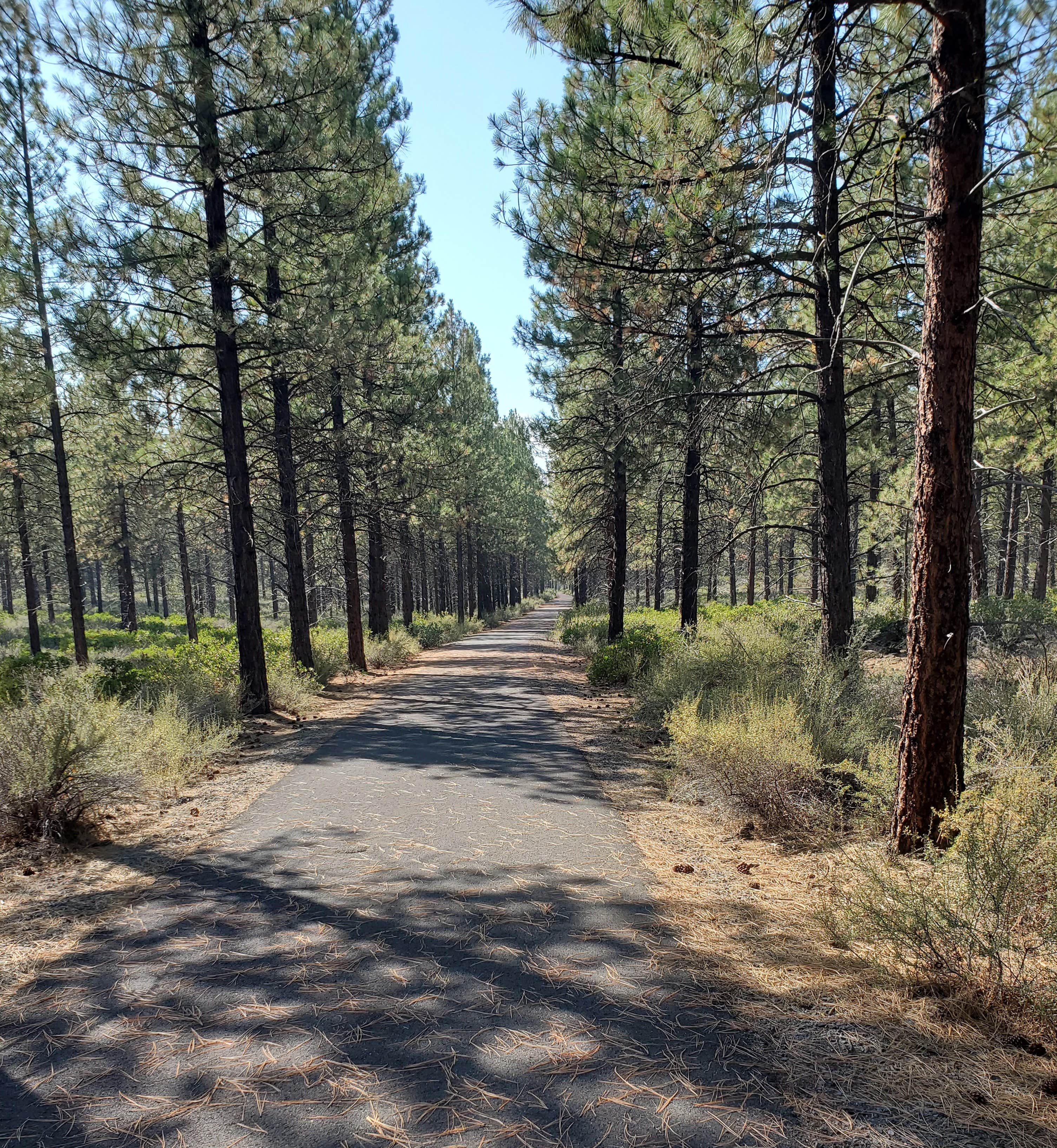 Camper-submitted photo at Crown Villa RV Resort near Sunriver, OR