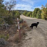 Review photo of Zion Scenic Byway Dispersed - BLM by Greg L., October 17, 2022