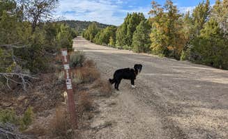 Greg L.'s photo of camping with pets at BLM Road #71 Gravel Pit Dispersed - BLM near Kanab, UT
