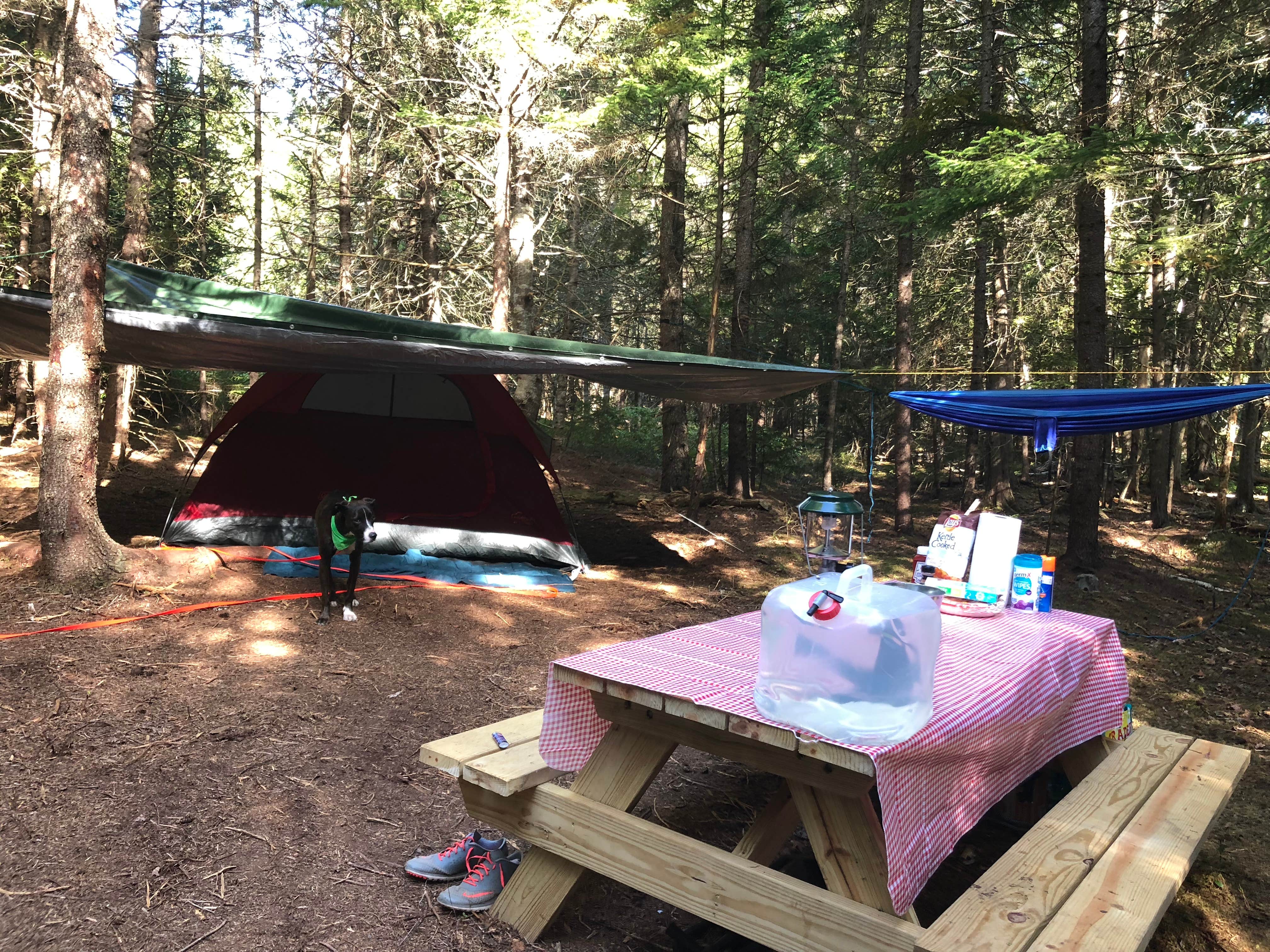 Camper submitted image from Acadia East Campground - 3
