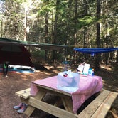 Review photo of Acadia East Campground by Jess T., September 7, 2018