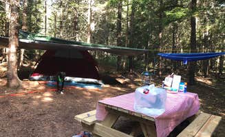 Jess T.'s photo at Acadia East Campground near Corea, ME