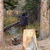 Review photo of Roosevelt National Forest Camp Dick Campground by Kurtis K., October 17, 2022