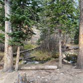 Review photo of Roosevelt National Forest Camp Dick Campground by Kurtis K., October 17, 2022