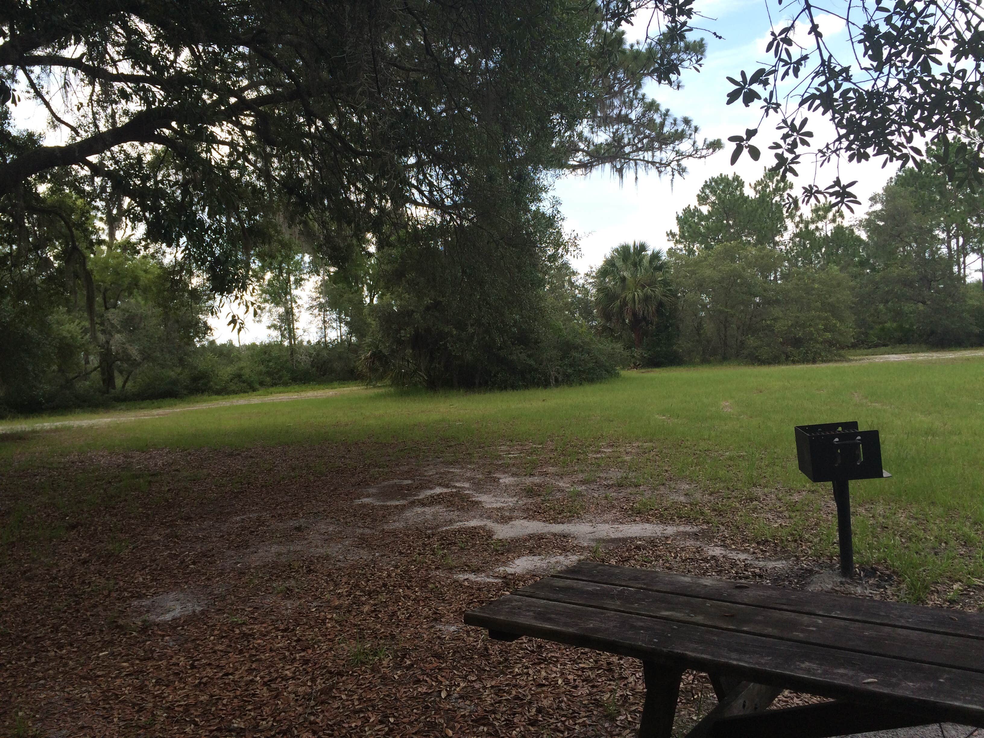 Camper-submitted photo at Seminole State Forest Primitive Campsites near Orange City, FL