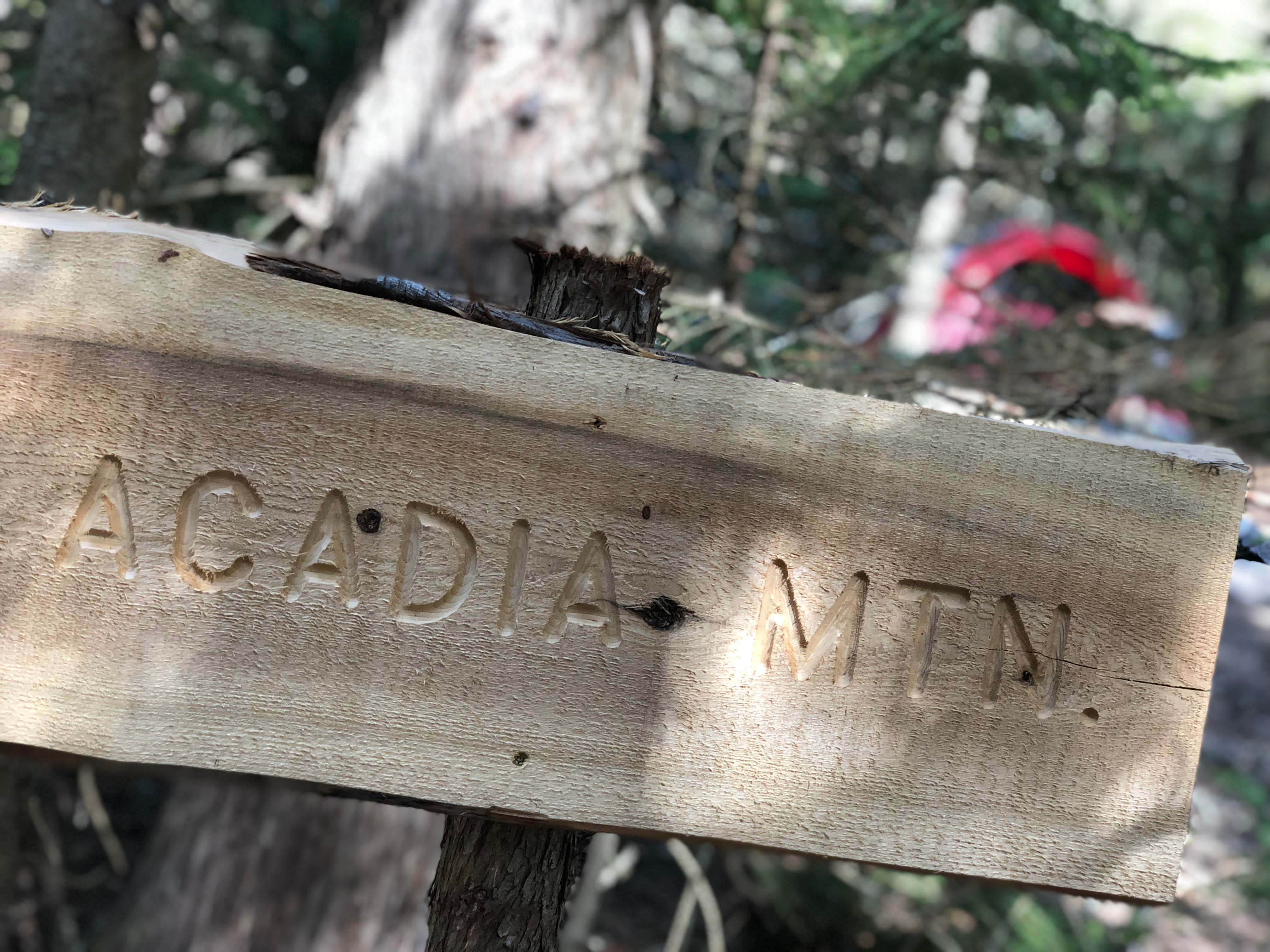 Camper-submitted photo at Acadia East Campground near Birch Harbor, ME