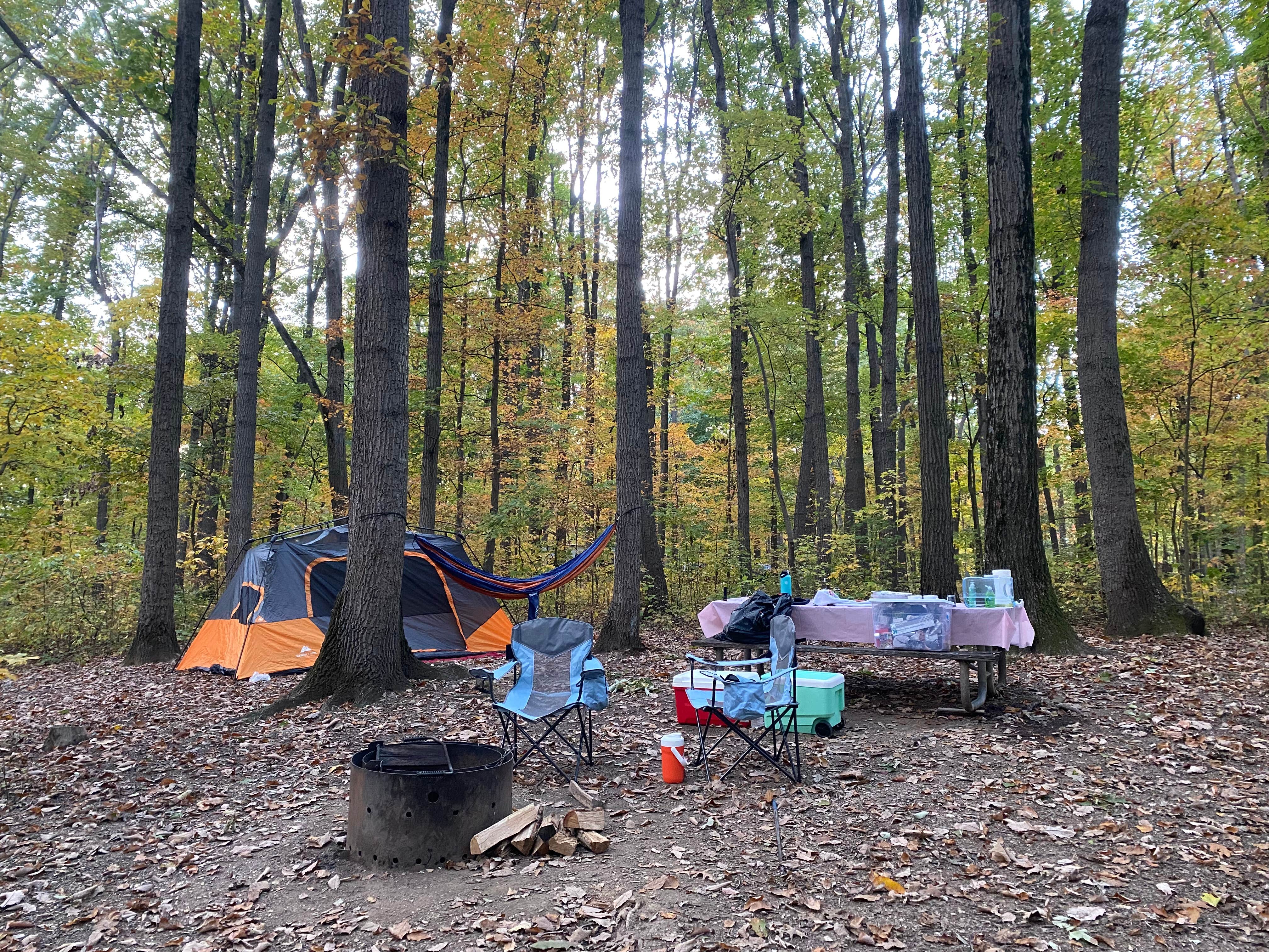 Autumn M.'s photo at Codorus State Park Campground near Shrewsbury, PA