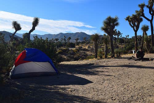 Sam M.'s photo at Black Rock Campground — Joshua Tree National Park near Pioneertown, CA