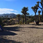Review photo of Black Rock Campground — Joshua Tree National Park by Sam M., September 7, 2018