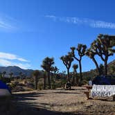 Review photo of Black Rock Campground — Joshua Tree National Park by Sam M., September 7, 2018