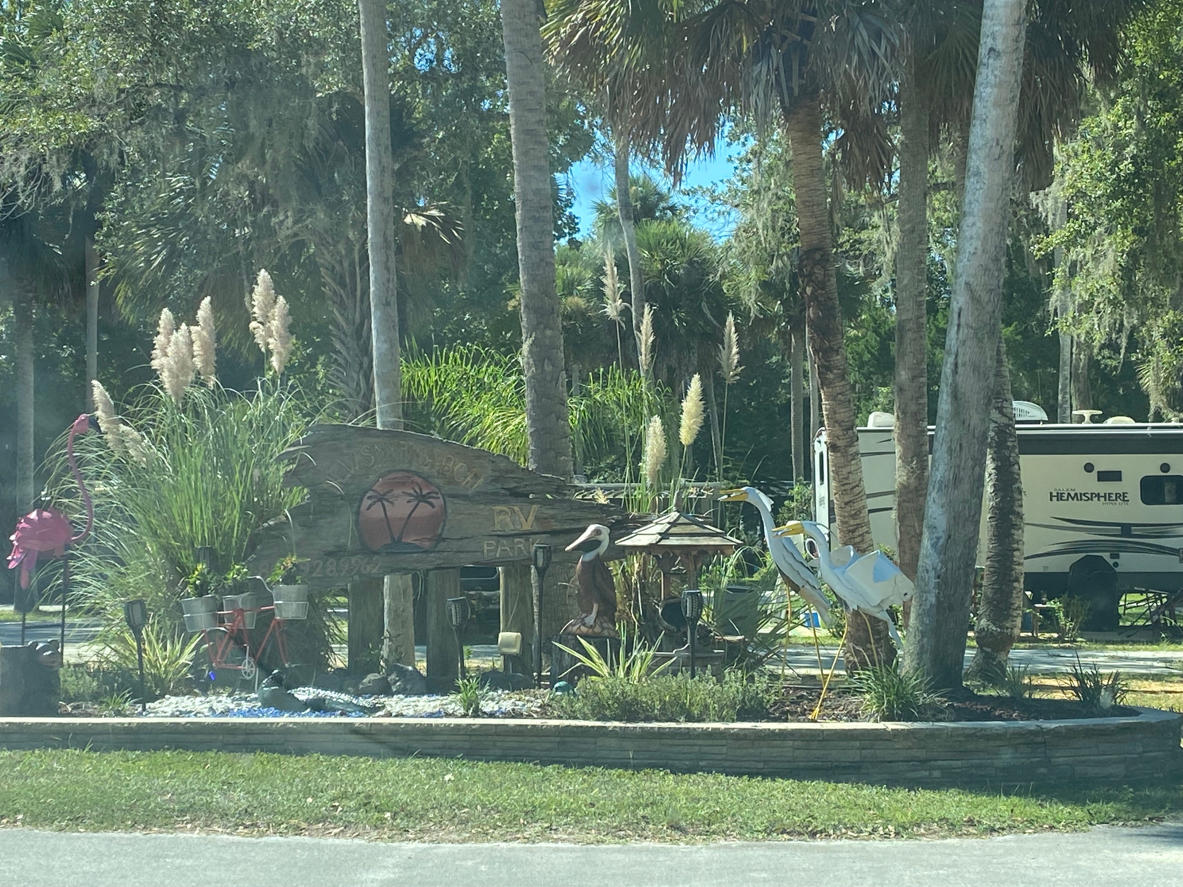 Camper submitted image from New Smyrna Beach RV Park & Campground - 3
