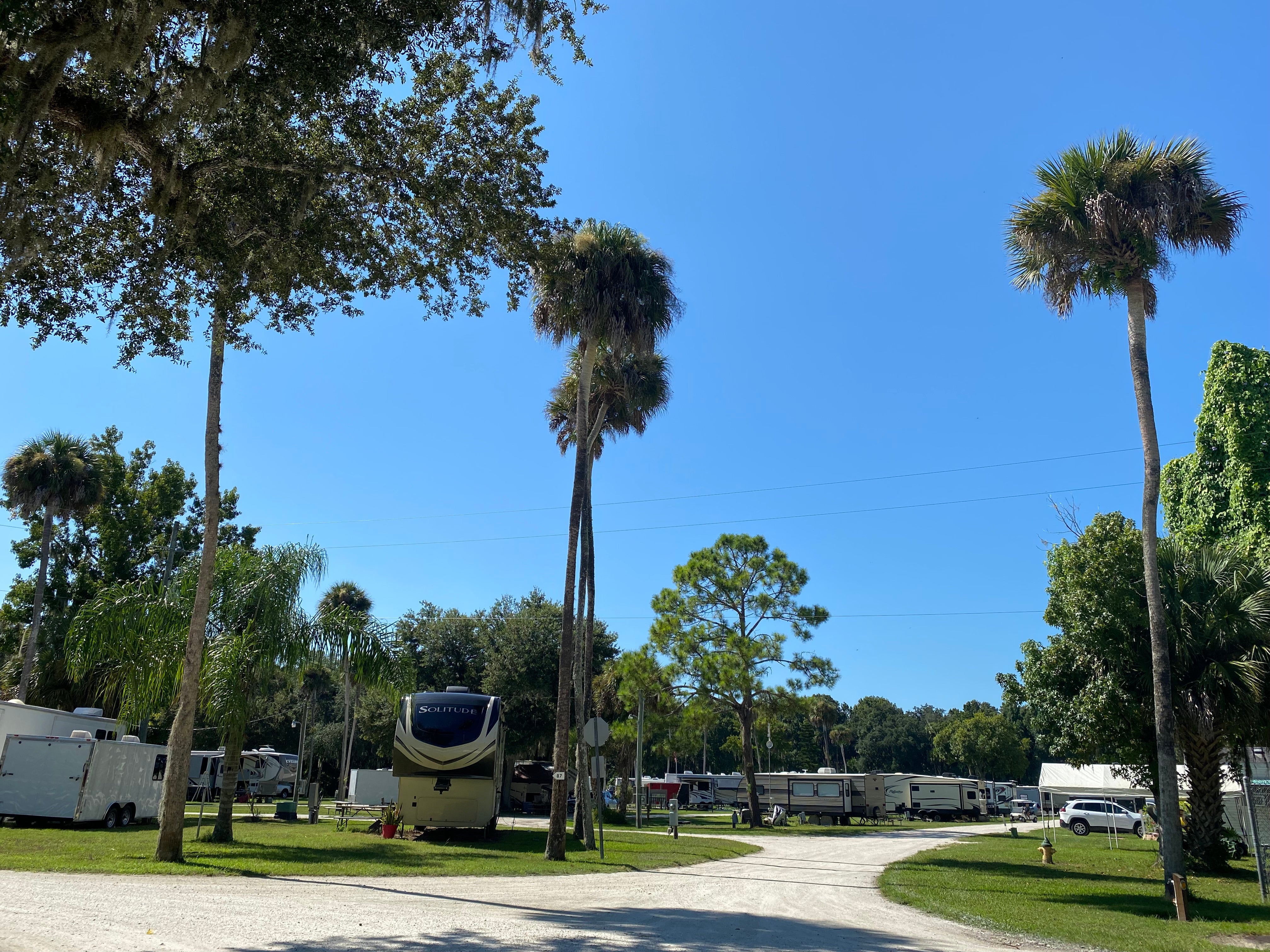 Camper submitted image from New Smyrna Beach RV Park & Campground - 4