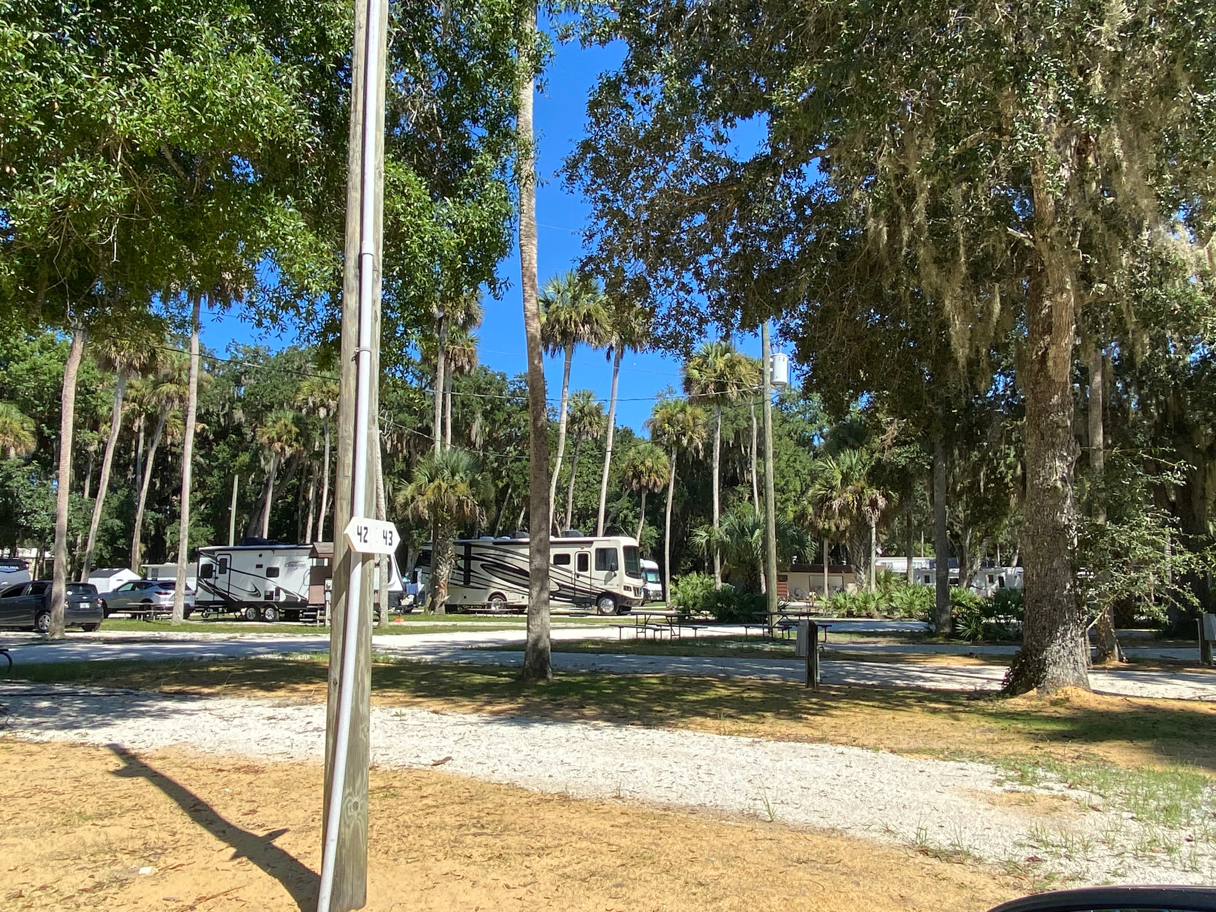 Camper submitted image from New Smyrna Beach RV Park & Campground - 2