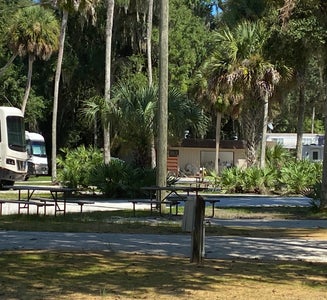 Camper-submitted photo from New Smyrna Beach RV Park & Campground